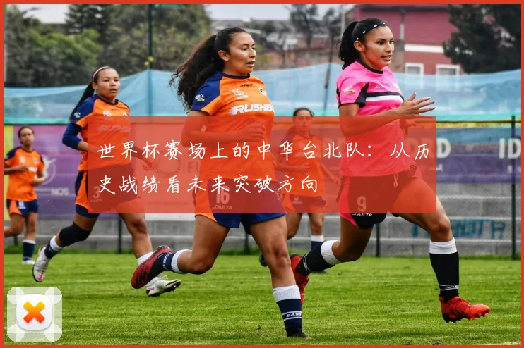 世界杯赛场上的中华台北队：从历史战绩看未来突破方向