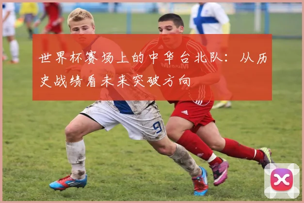 世界杯赛场上的中华台北队：从历史战绩看未来突破方向