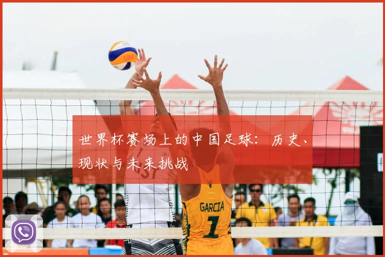 世界杯赛场上的中国足球：历史、现状与未来挑战