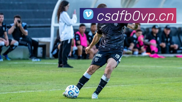 开云app登录入口网址平台生态图